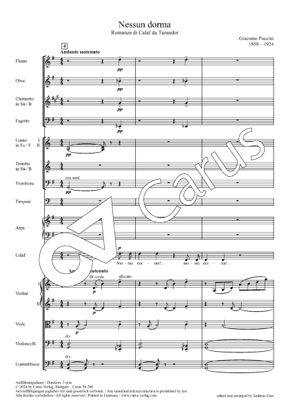 Nessun Dorma, Puccini, Kammerorchester